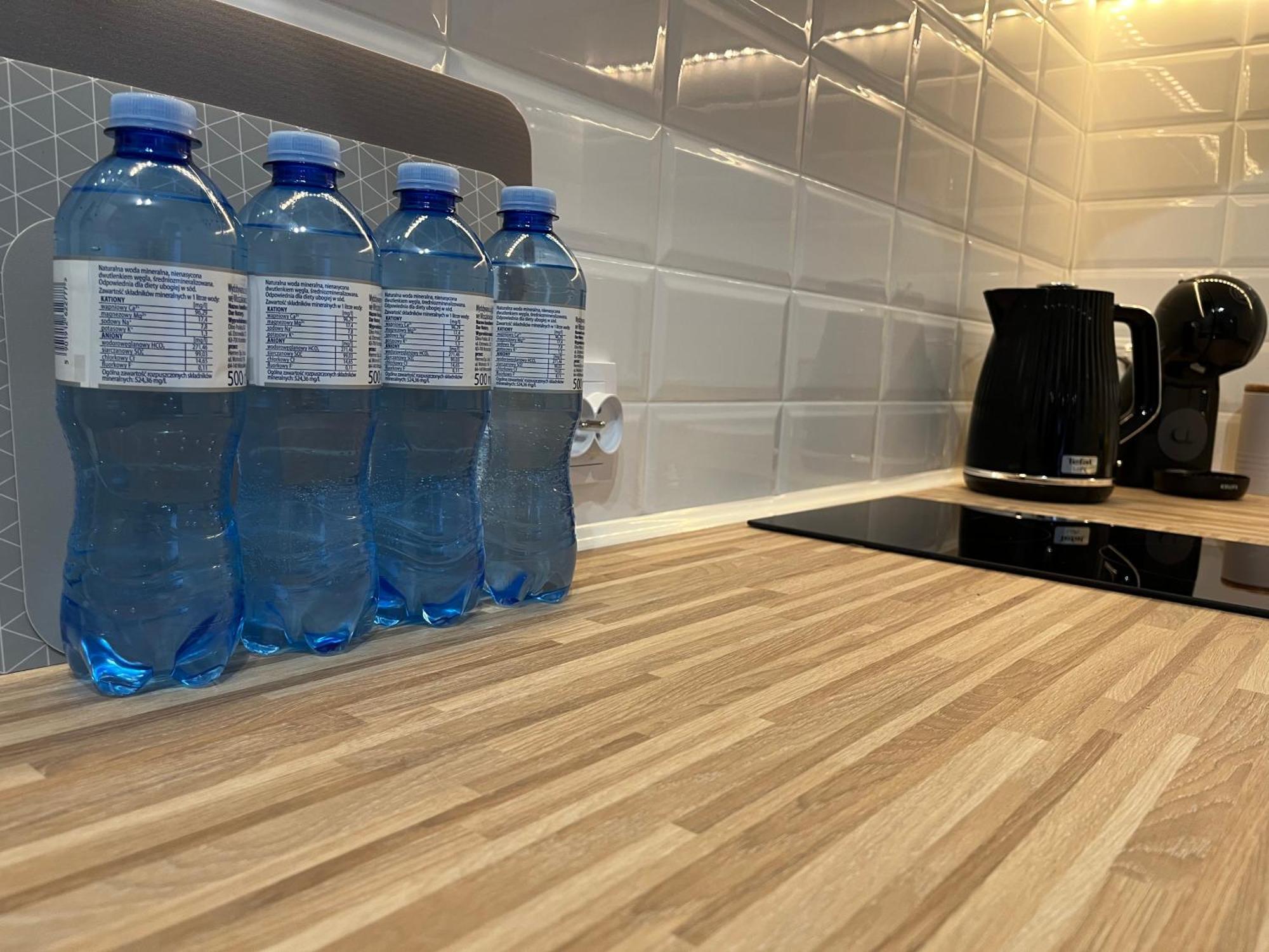 Apartament Rubinowy Торунь Экстерьер фото
