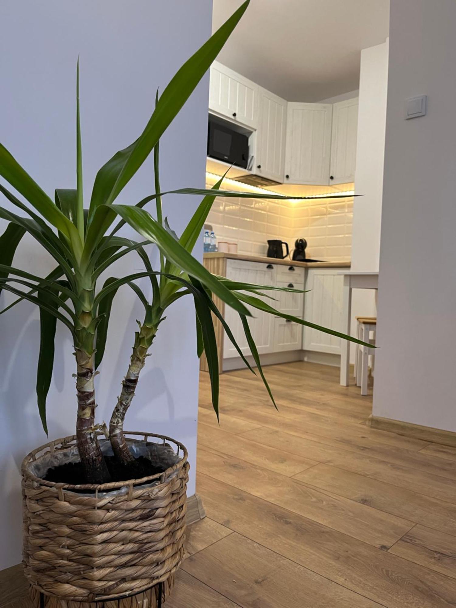 Apartament Rubinowy Торунь Экстерьер фото